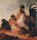 Rooster Wall Art - Rooster and Hens